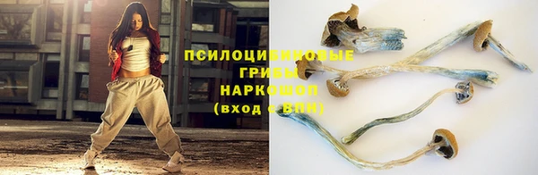 а пвп мука Гусиноозёрск