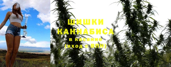альфа пвп Гусь-Хрустальный